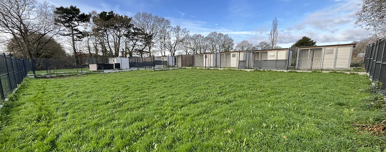 Pension canine herbignac 44